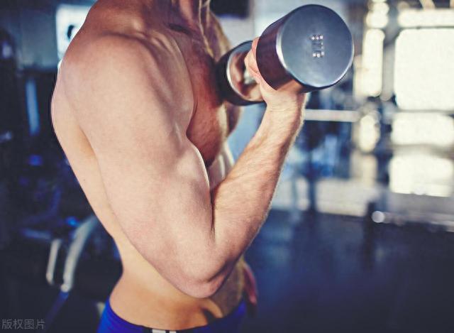 如何练出肌肉型男的身材？5个原则让你增长更多肌肉
