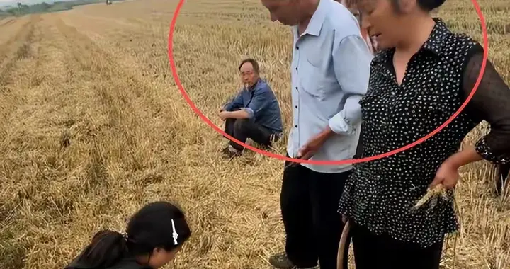 襄阳小夫妻割麦遭“割四赔五”后续：人民日报发声，丢脸丢到全国