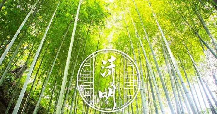 春风细雨话清明