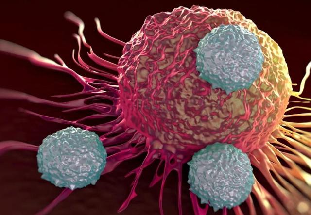 豆腐和羊肉是肿瘤“发物”吗？医生：不想癌细胞恶化，请少吃4物