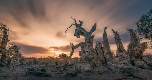 老美是干不过中国的！结局10年内必然揭晓