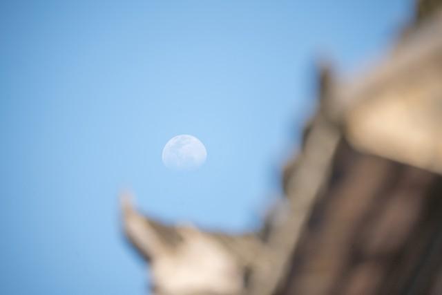 100句带“月”字的古诗名句及作者、朝代和题目