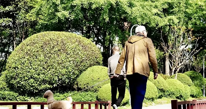 医生发现：坚持走路锻炼的老人，过不了半年，会迎来4大改善