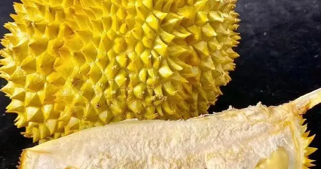 金枕贵还是托曼尼贵？哪种好吃？