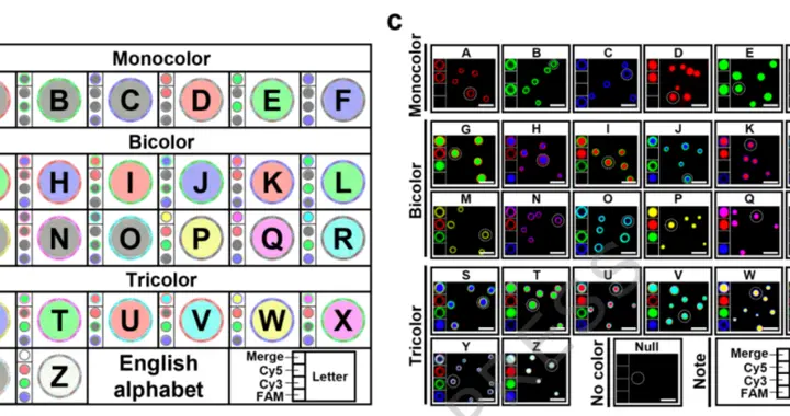 能永生、会自毁、还认主：中科院杭州医学所打造DNA硬盘，科幻片里的智能...