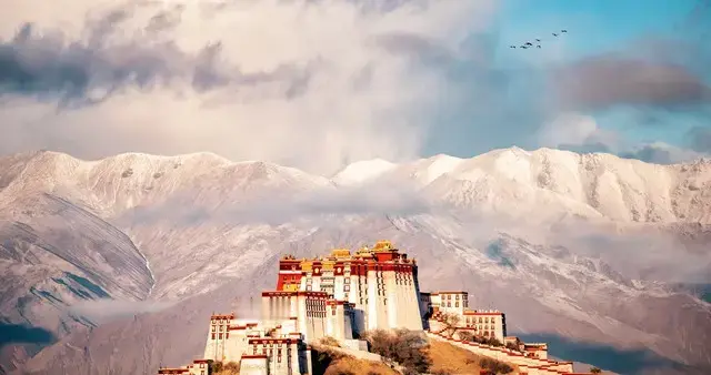 大乐透开年炸场！13 注头奖 + 西藏 3546 万独揽，这波幸运你酸了吗？