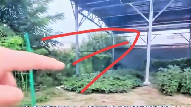 沙漠孤独者：“被做局了？”河北廊坊，男子