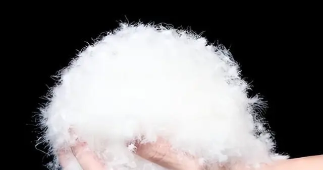 一件衣服顶俩月退休金！今年国产羽绒服怎么这么贵？