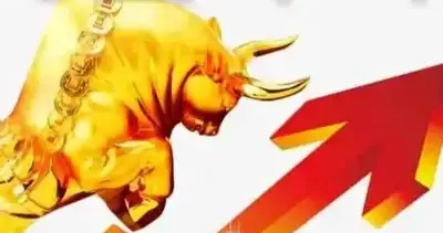 2025.10.22，权重股护盘，科技股轮动，太稳了