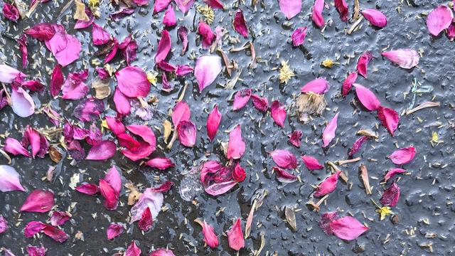 美好生活守望者：不能坐在家里写头条，走出