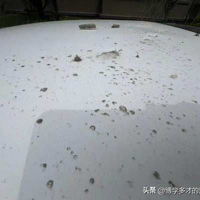 博学多才的河流OVz：今天是金碧物业走后