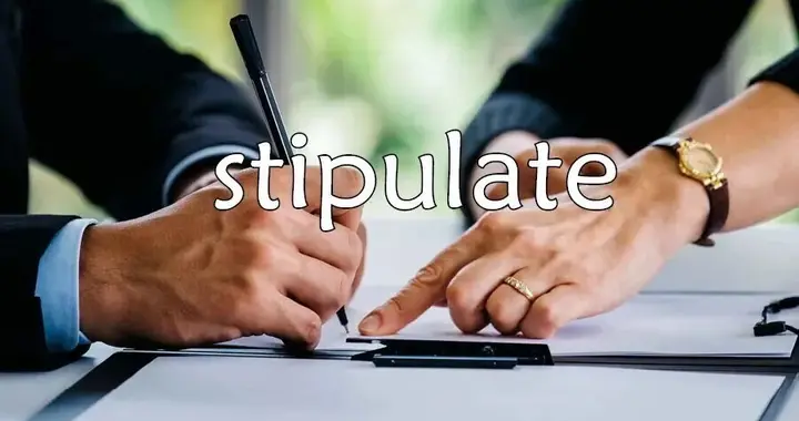 每日单词：stipulate