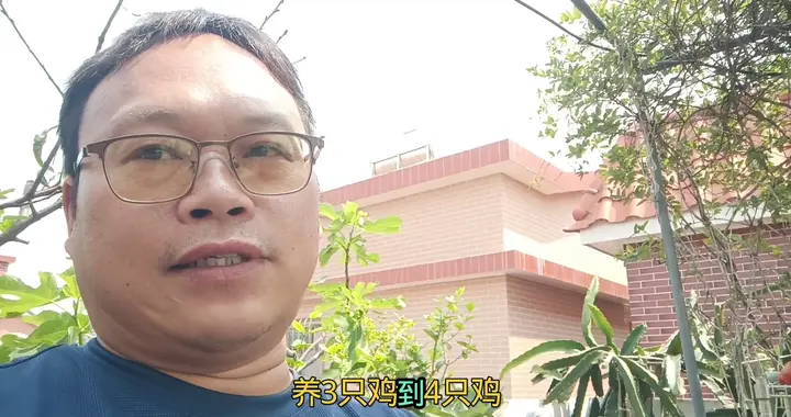 想养鸡又怕臭怕虫？教您“干湿分离”养鸡法