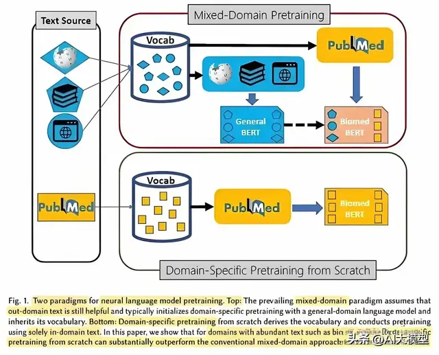 【AI大模型预训练】一文讲清楚特定领域预训练原理与核心技术