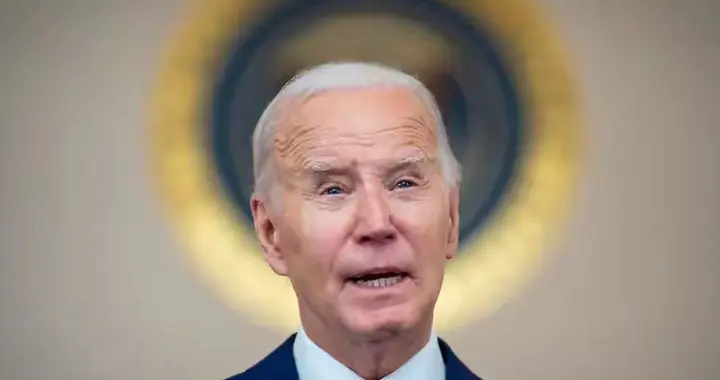 拜登与特朗普整成了世仇，拜登儿子约战特朗普儿子进行铁笼格斗