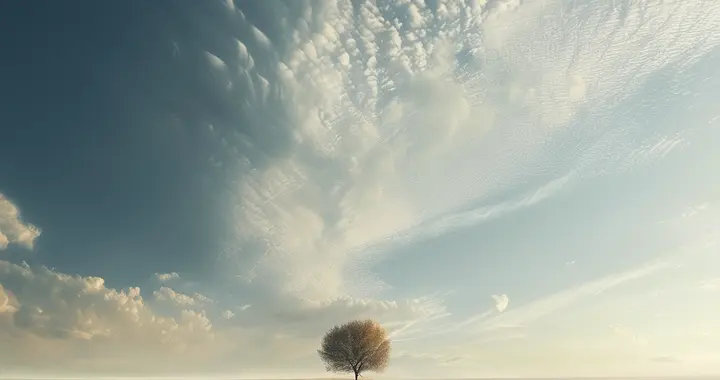 他究竟有多久未曾开口了