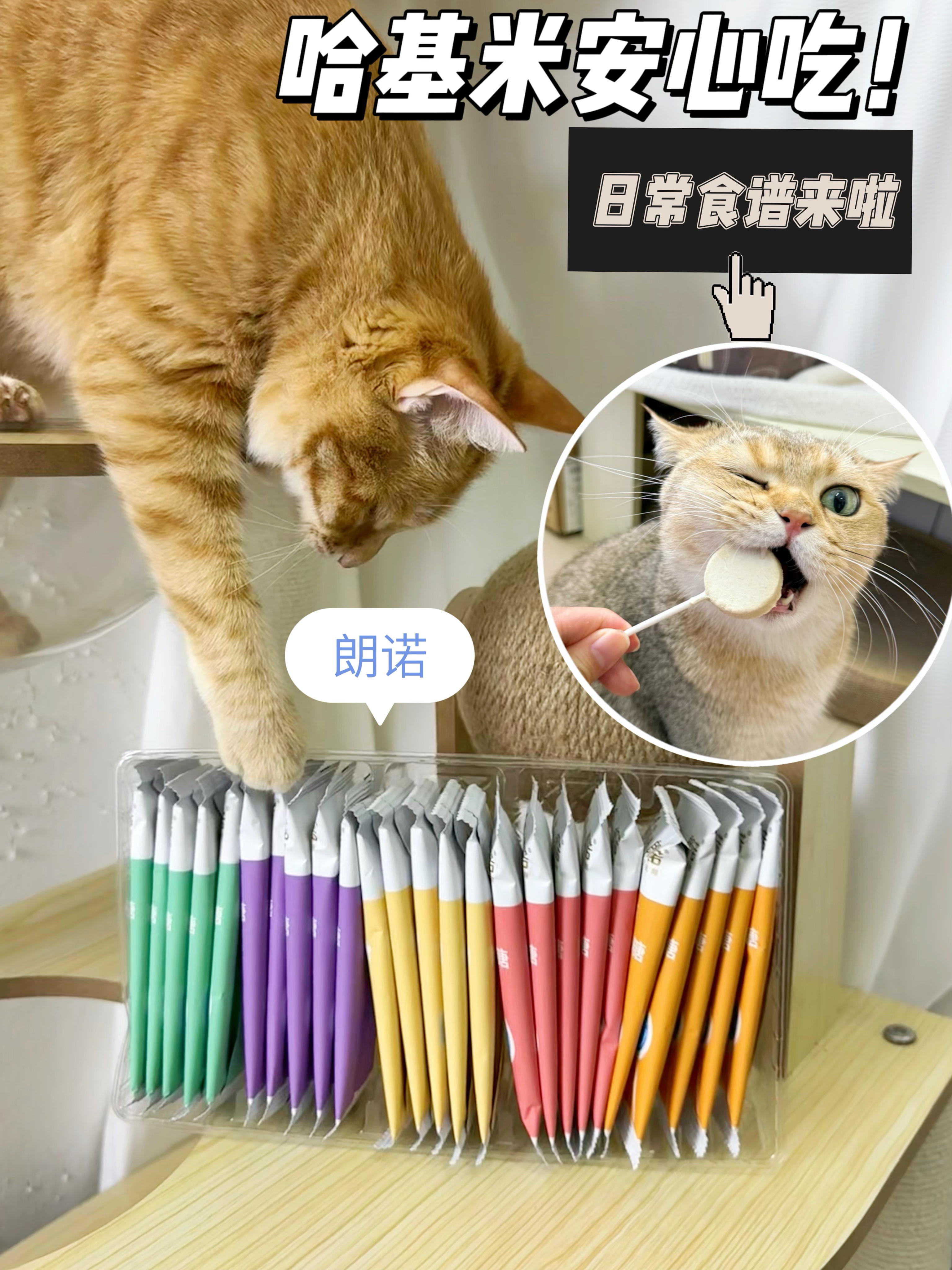 哈基米安心吃！日常食谱来啦！