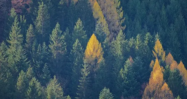 同样是打广告，为什么别人ACOS比你低50%？秘密就在“分时调价”!