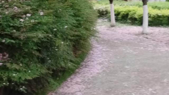 汉水江南： 在温暖中