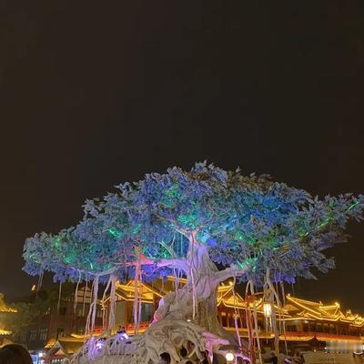 好运视频：，什么是真正属于你