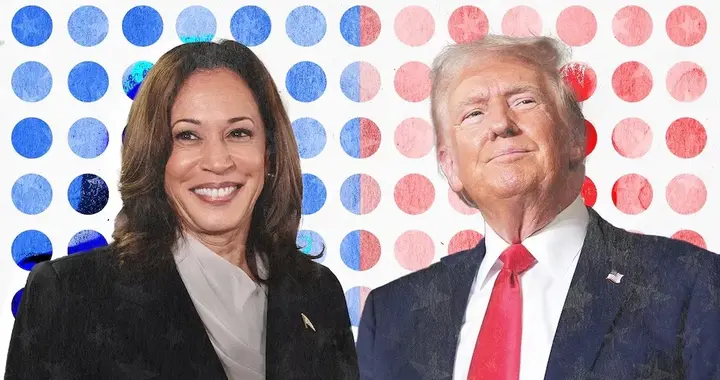 民主党2024年大选“检讨书”引发新危机，怎么输的都没搞明白！