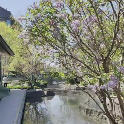 好人品谈楼市：昨日（4月12日），北京二