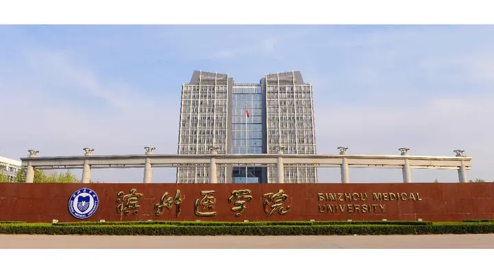 滨州医学院2025年录取分数线汇总，临床医学（卓越班）分数线较高