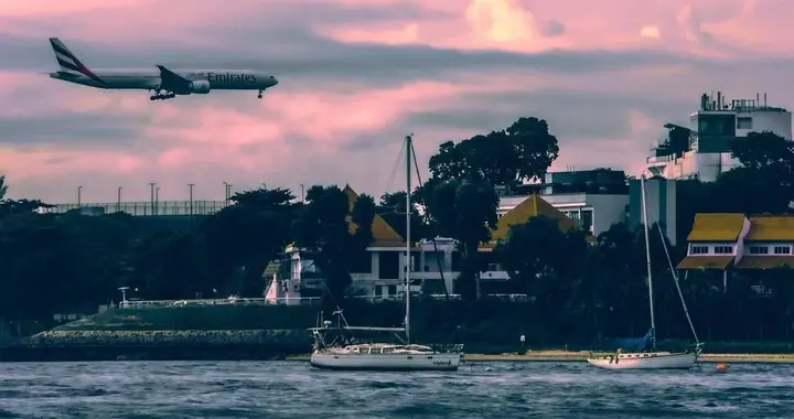 港校、新加坡艺术硕士申请量暴涨200%：性价比留学真的省了吗？