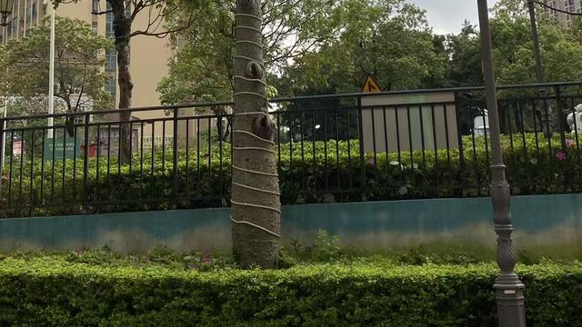 程右右：现在一打开头条， 眼皮就打上架