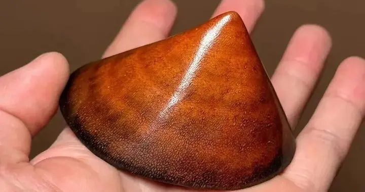 百年难遇的老亚洲犀角尖赏析