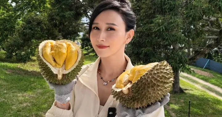 胡静家猫山王榴莲大丰收，网友看完羡慕到流口水
