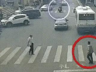 毛孩子薯条：大家看这个男的是碰瓷的吗？有