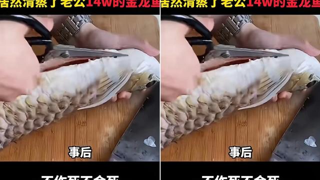 听剧团：真让人哭笑不得， 就因为老公不肯