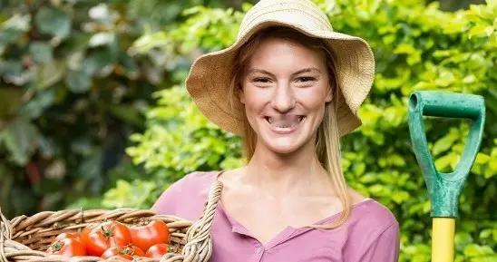 春分后移栽苗别心急！这套栽种准则，少走一年弯路