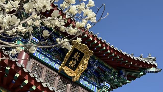 我是大海：低谷期谁都有过，那感觉就像掉进