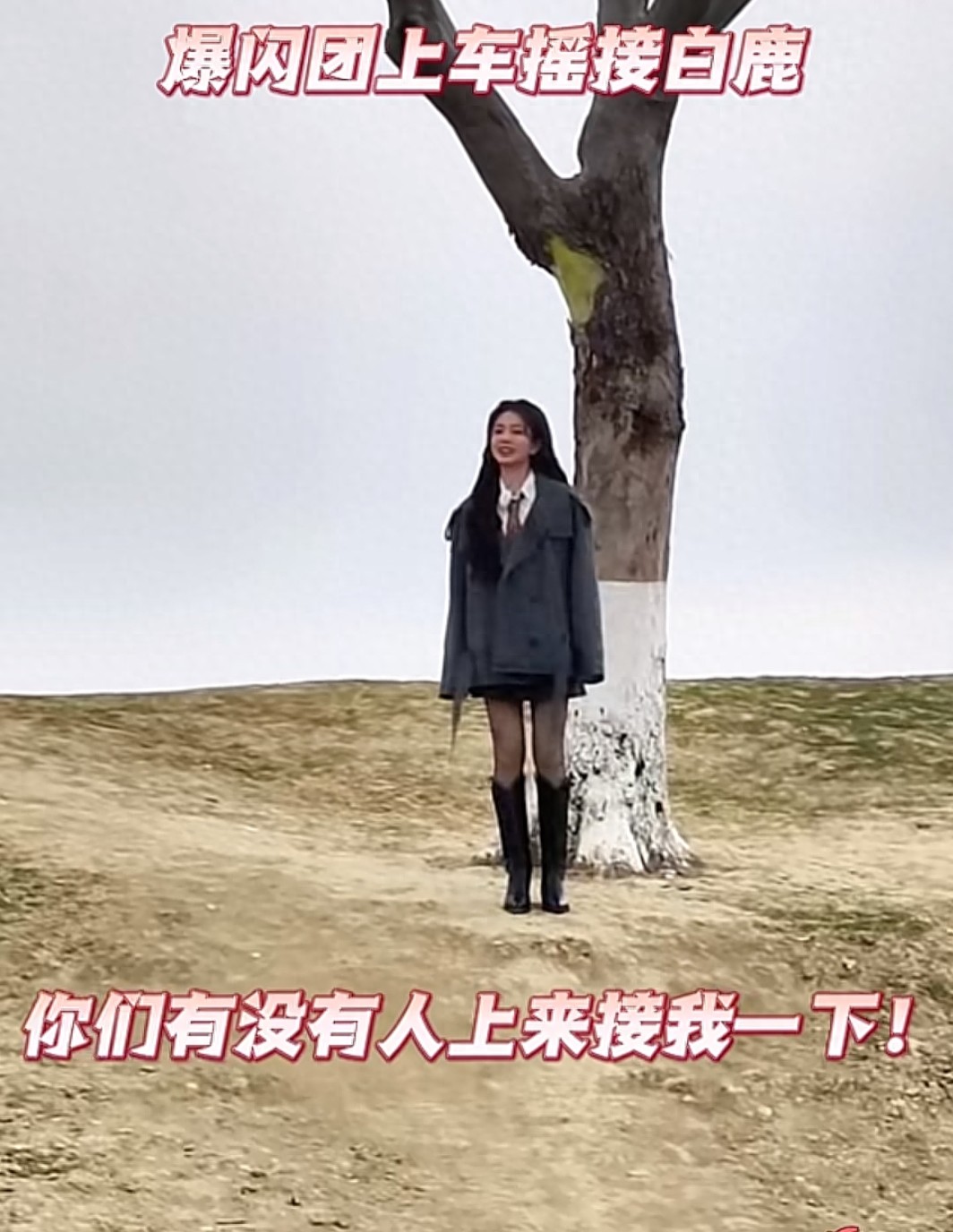 《白鹿被“爆闪团”土味接龙接驾！这综艺名场面把网友笑到捶床》