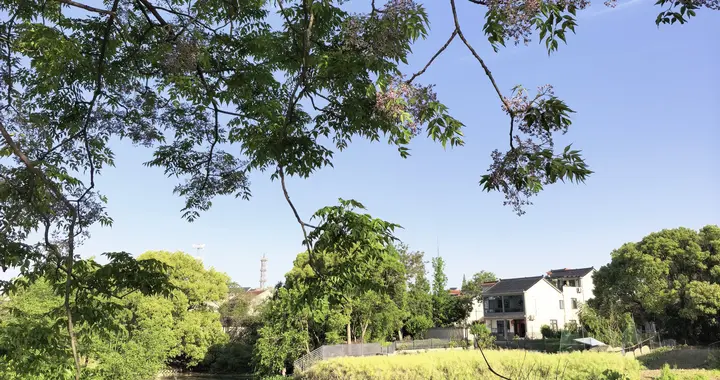 假期最后一天，你是不是也正堵在返程的路上，心里空落落的？