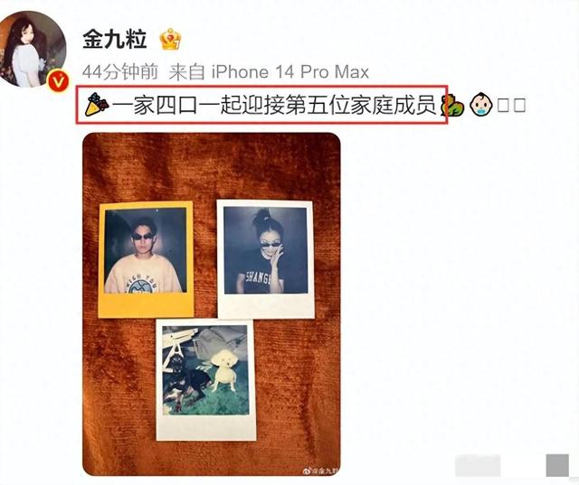 32岁金靖走机场被偶遇，老公舒奕橙又高又帅，全程护金靖生怕被挤