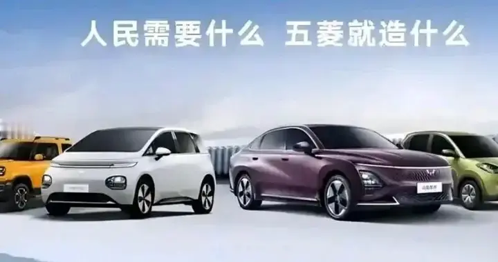 五菱宏光MINIEV真的是我们家庭出行的好帮手！