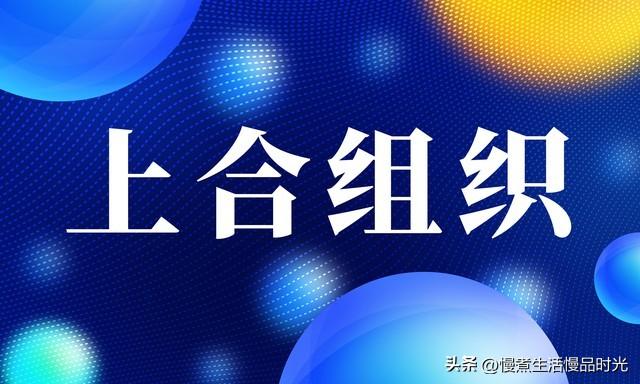 共绘区域合作新蓝图：上合组织可持续发展投资促进活动在津举办