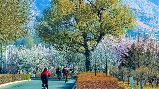 有山鞋响：春天里早晨