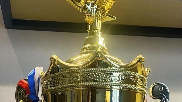 橙子不甜：日本队放话金牌到手，国乒只剩王