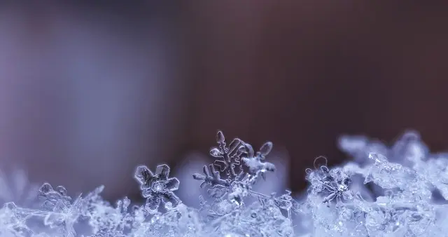 雪落时：与旧事别过，向新年走去