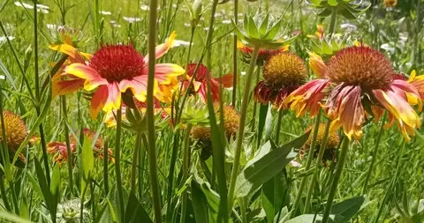 想成事先做垃圾？这话听着刺耳，却救了无数人