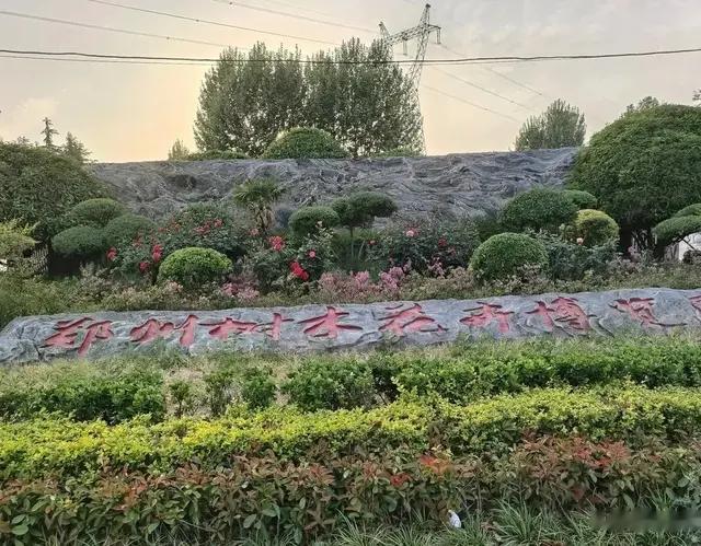 再游郑州树木园，从牡丹园到尖岗水库的寻美之旅
