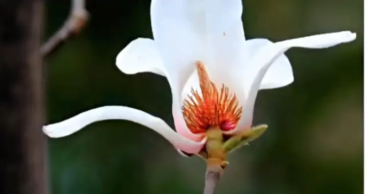 心宽路自宽，活好每一寸时光