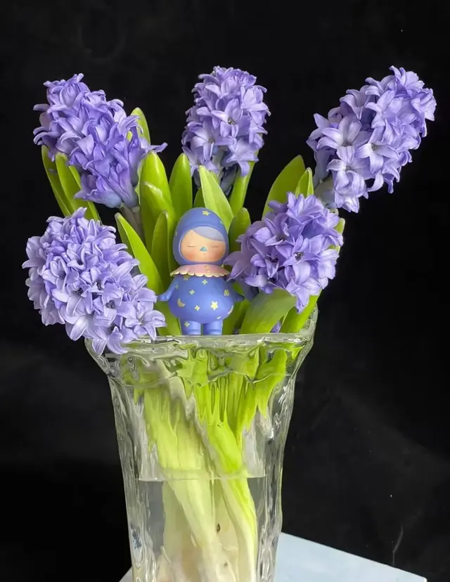 6种“冻不死”花，冬天也疯狂绽放，现在培养正当时，错过等一年