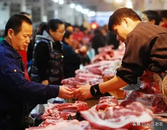 生猪价格略有上涨，还是消费增长下的提振