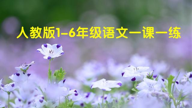 人教版1-6年级语文下册全册一课一练（81页）