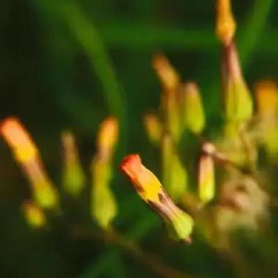 小月轻说：小区里一个普通男孩中考失利，没